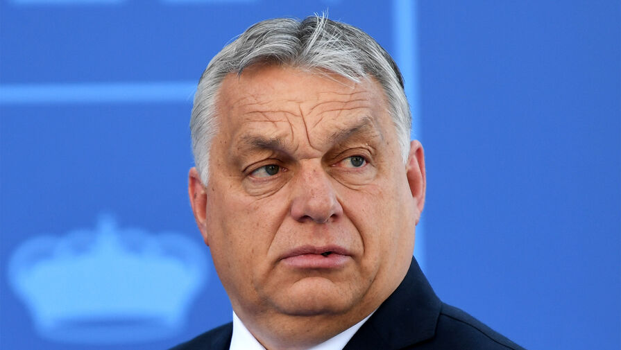 Орбан и Зеленский обсудили урегулирование конфликта на Украине
